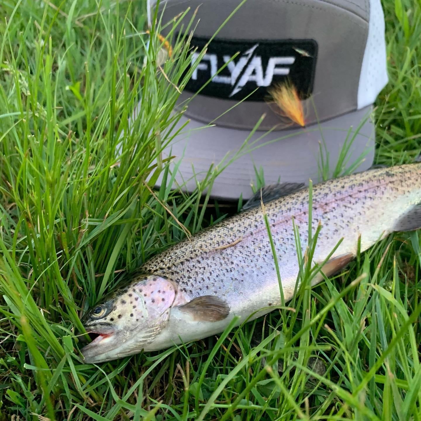 FlyAF Elite Series Snapback - White/Charcoal