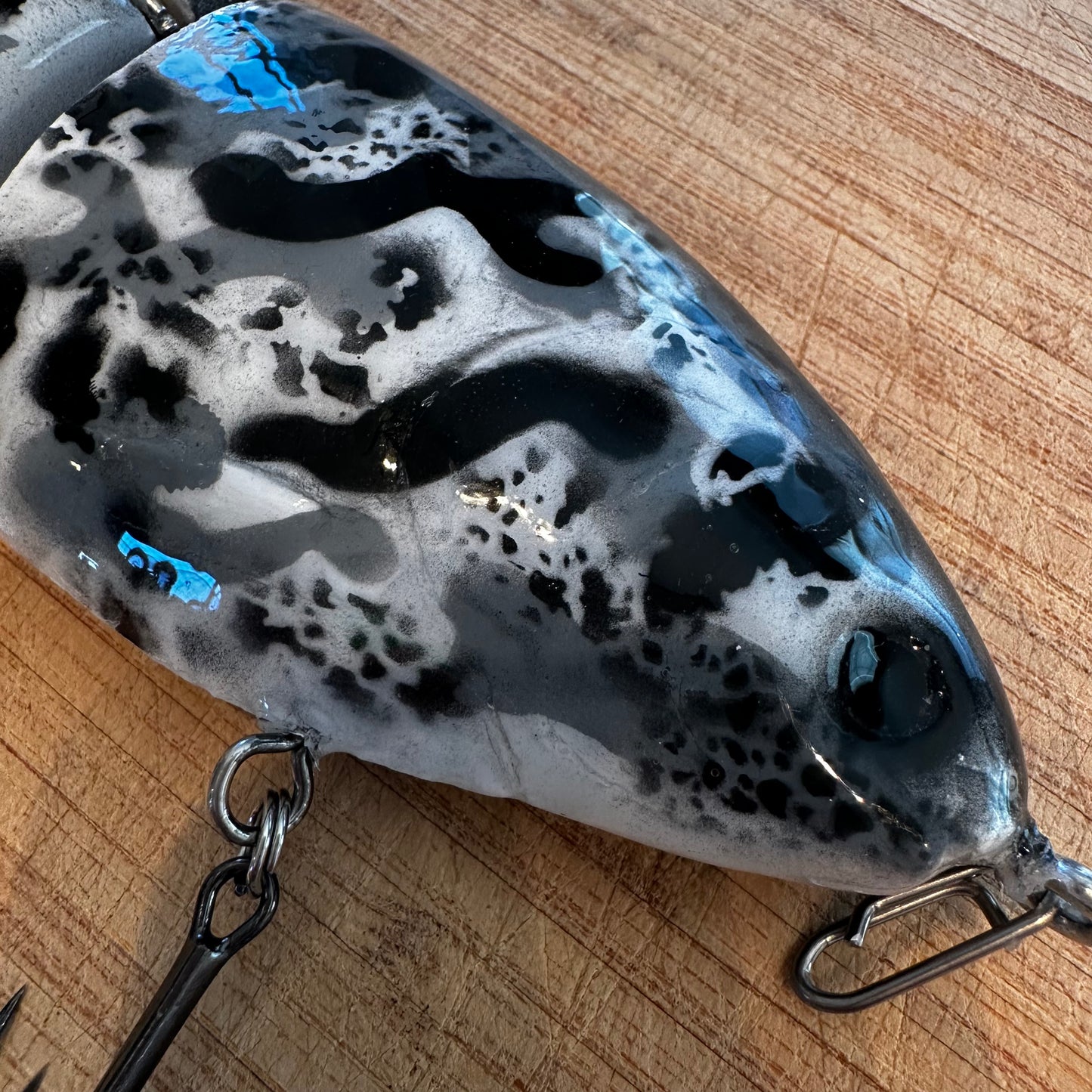 Kobriger Gizzard Shad