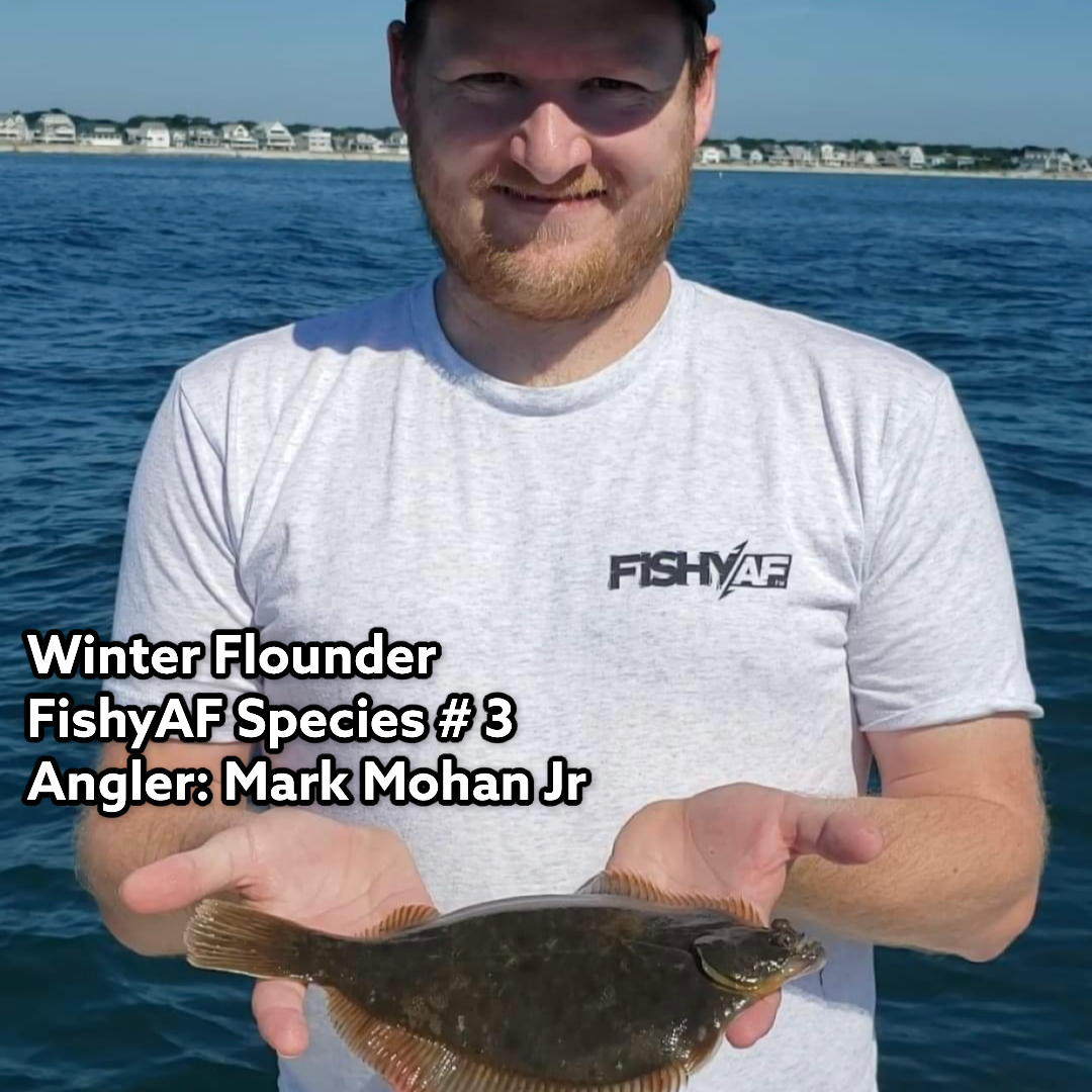 Winter Flounder - FishyAF Species # 3