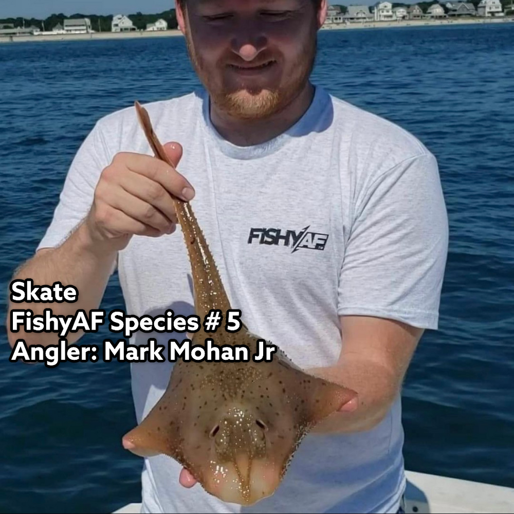 Skate - FishyAF Species # 5