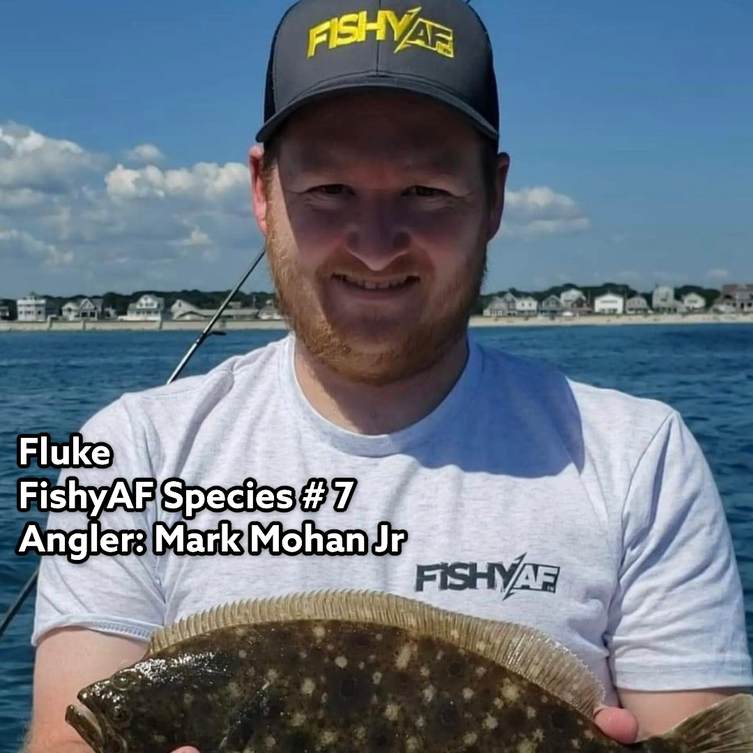 Fluke - FishyAF Species #7