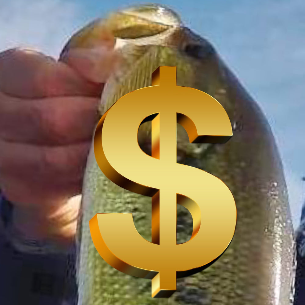 Bass Money