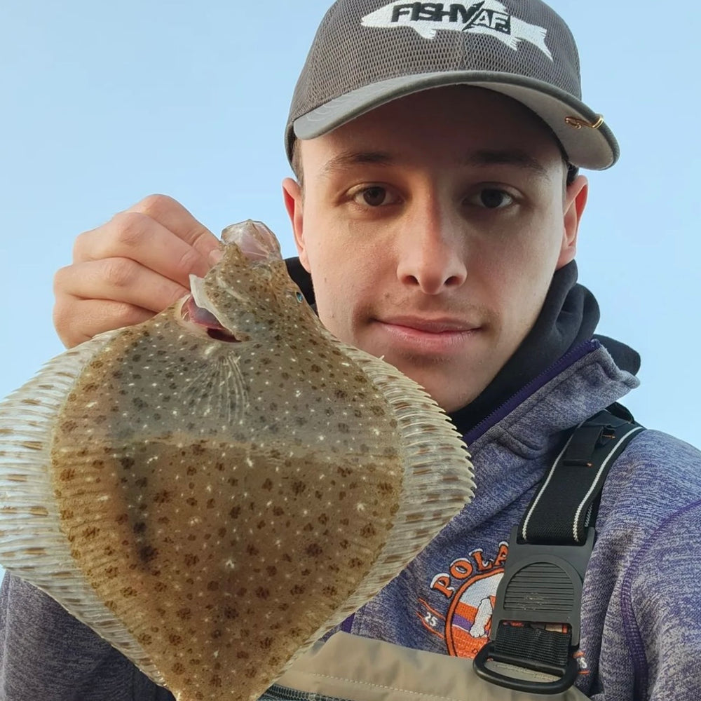 Windowpane Flounder - FishyAF Species # 2